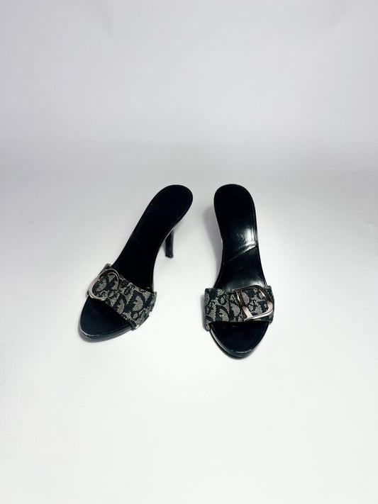 2004 Dior by John Galliano Monogram Denim Heels with Silver Charms - EU 37.5 